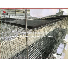 Professional Manufacture Breeding Pigeon Cage